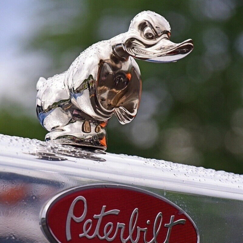 Art Craft Duck - ที่คลุมหน้ารถเป็ดโกรธเครื่องประดับภาพเป็ดรถจักรยานยนต์ที่ตกแต่งเรซิ่นเคลือบด้วยไฟฟ้าของตกแต่ง